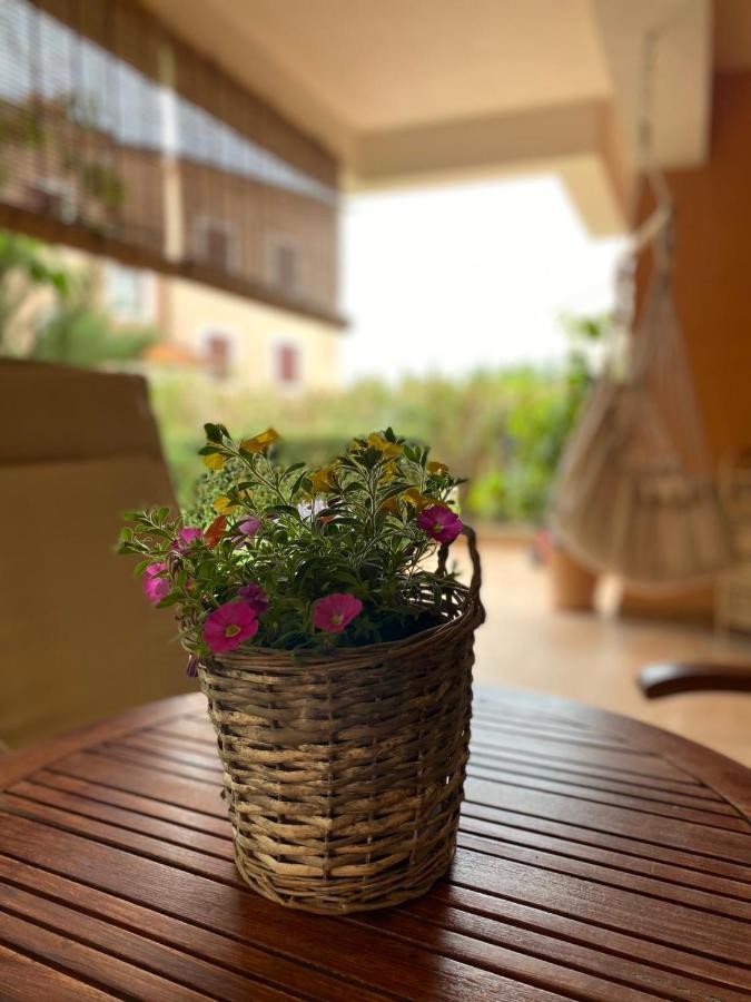 Apartman Rose-2025 Renovated Garden View Poreč Exteriör bild